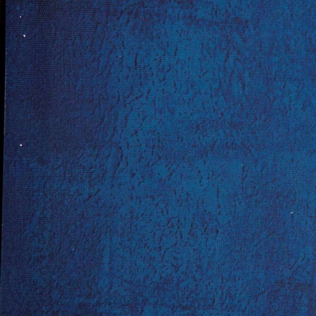 8445146016270_S8800598_P51