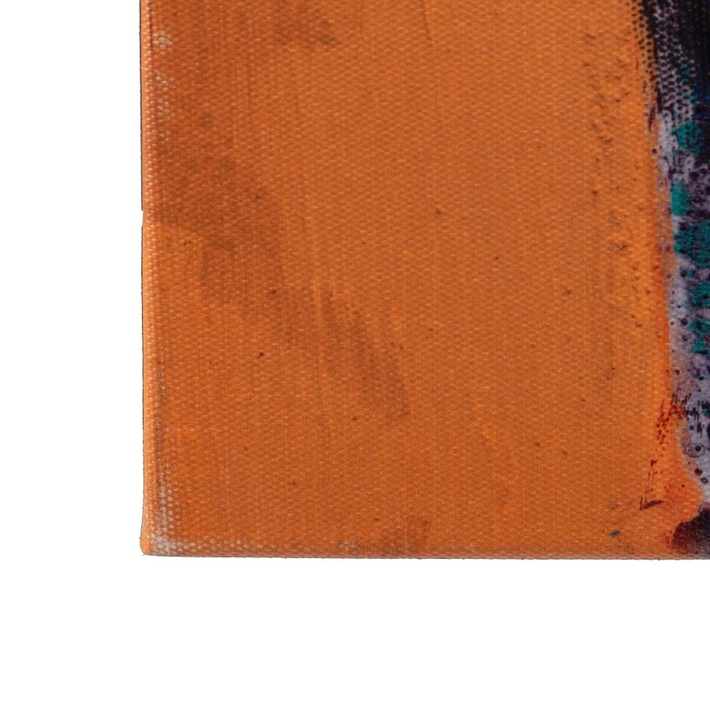 8445146007513_S8800494_P51