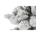 8424002070137_S3052357_P10
