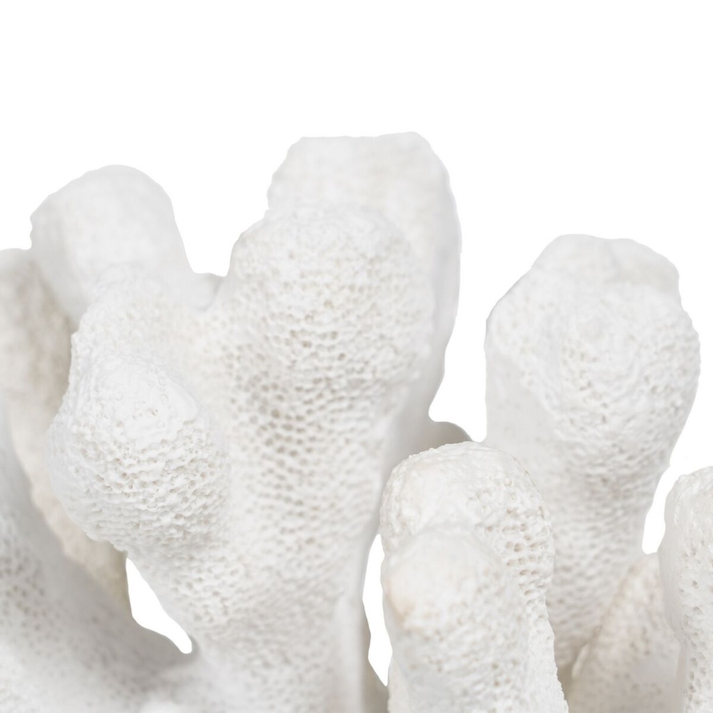 8445146110022_S8805382_P20