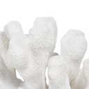 8445146110022_S8805382_P20