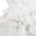 8445146110015_S8805381_P50