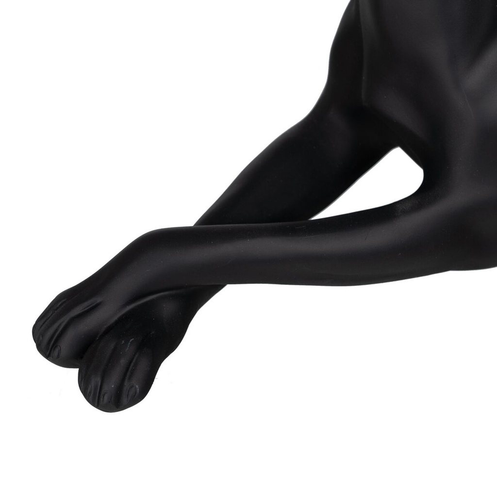 8445146109491_S8805426_P30