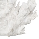 8445146110039_S8805420_P30