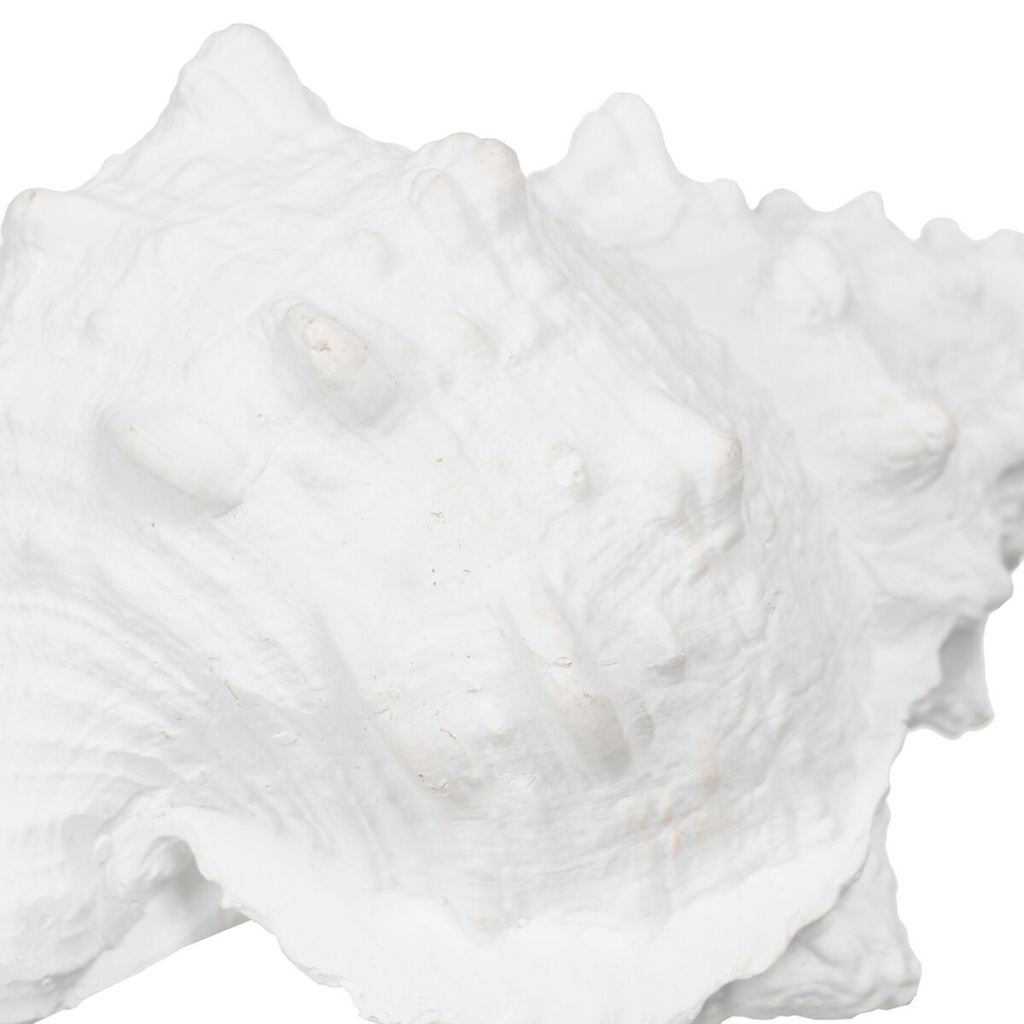 8445146110206_S8805469_P50