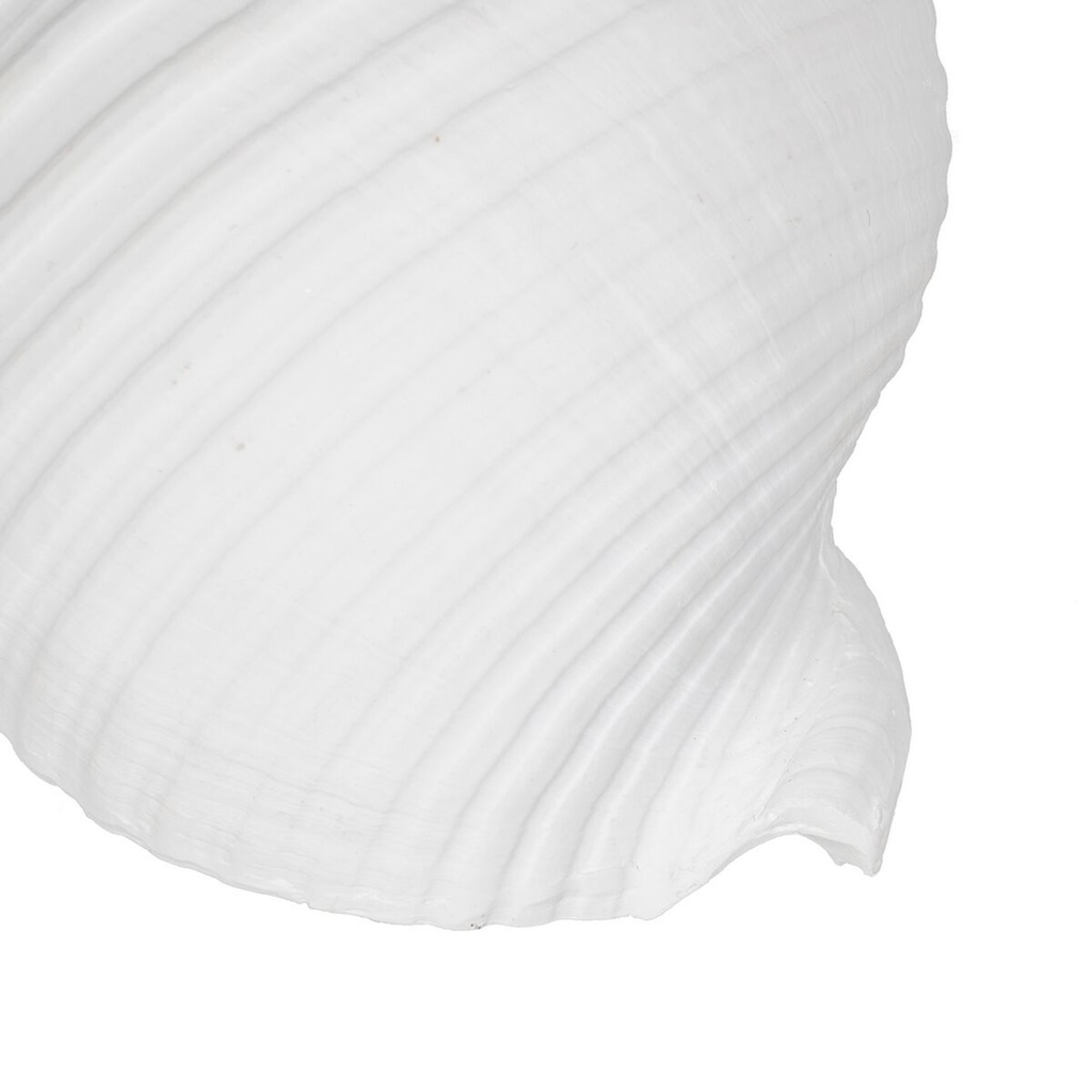 8445146109972_S8805378_P40