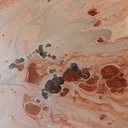 8445146095985_S8804532_P40