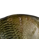 8445146095541_S8804429_P50