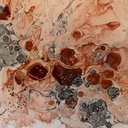 8445146095978_S8804531_P40