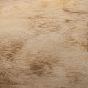 8445146107763_S8805301_P20