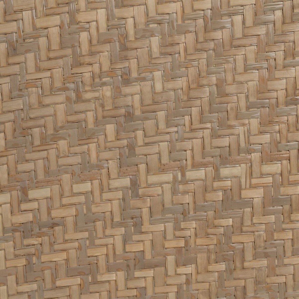 8445146101624_S8804923_P50