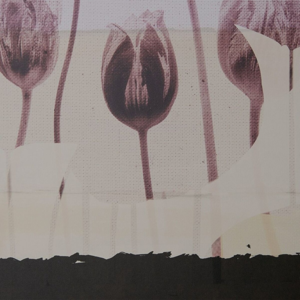 8445146025432_S8805960_P10