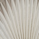 8445146115430_S8806270_P10