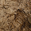 8445146124890_S8806187_P20