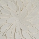 8445146115447_S8806269_P10