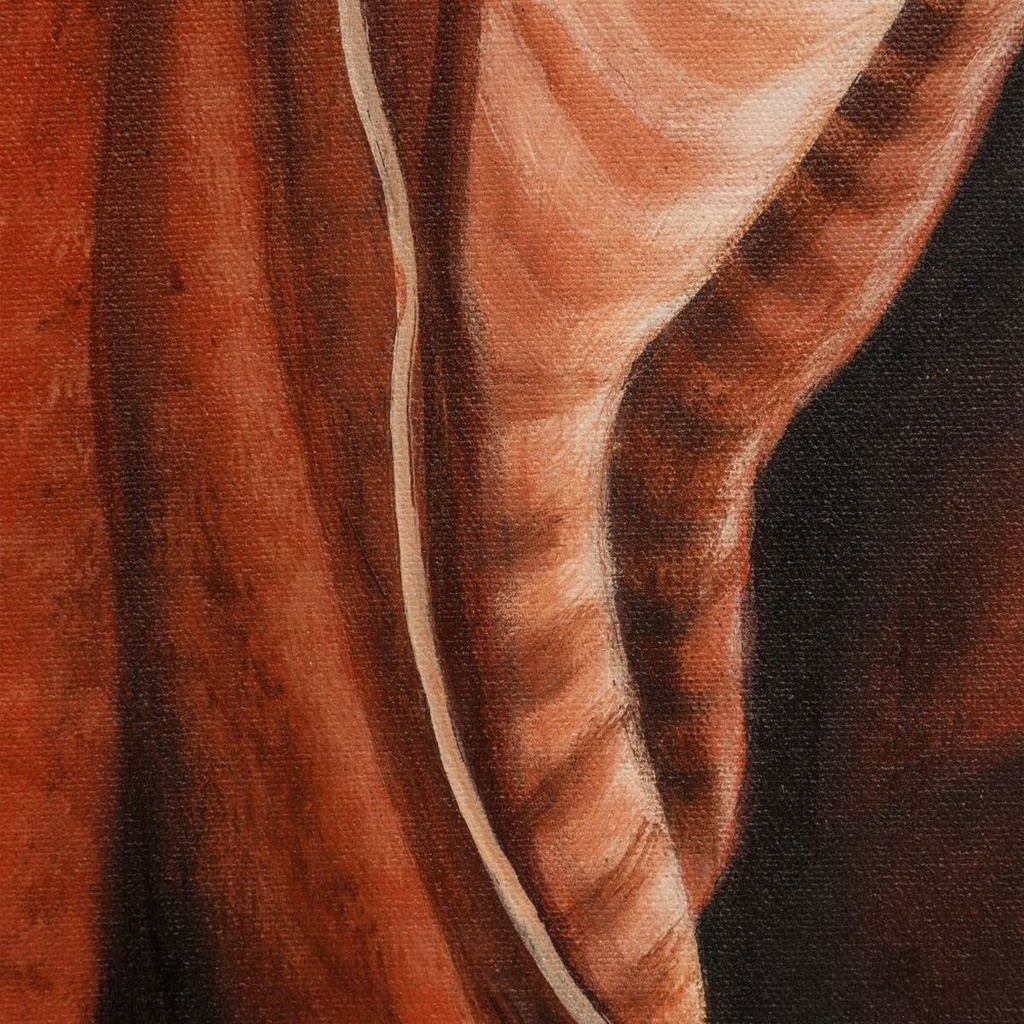 8424346511389_S8807418_P40