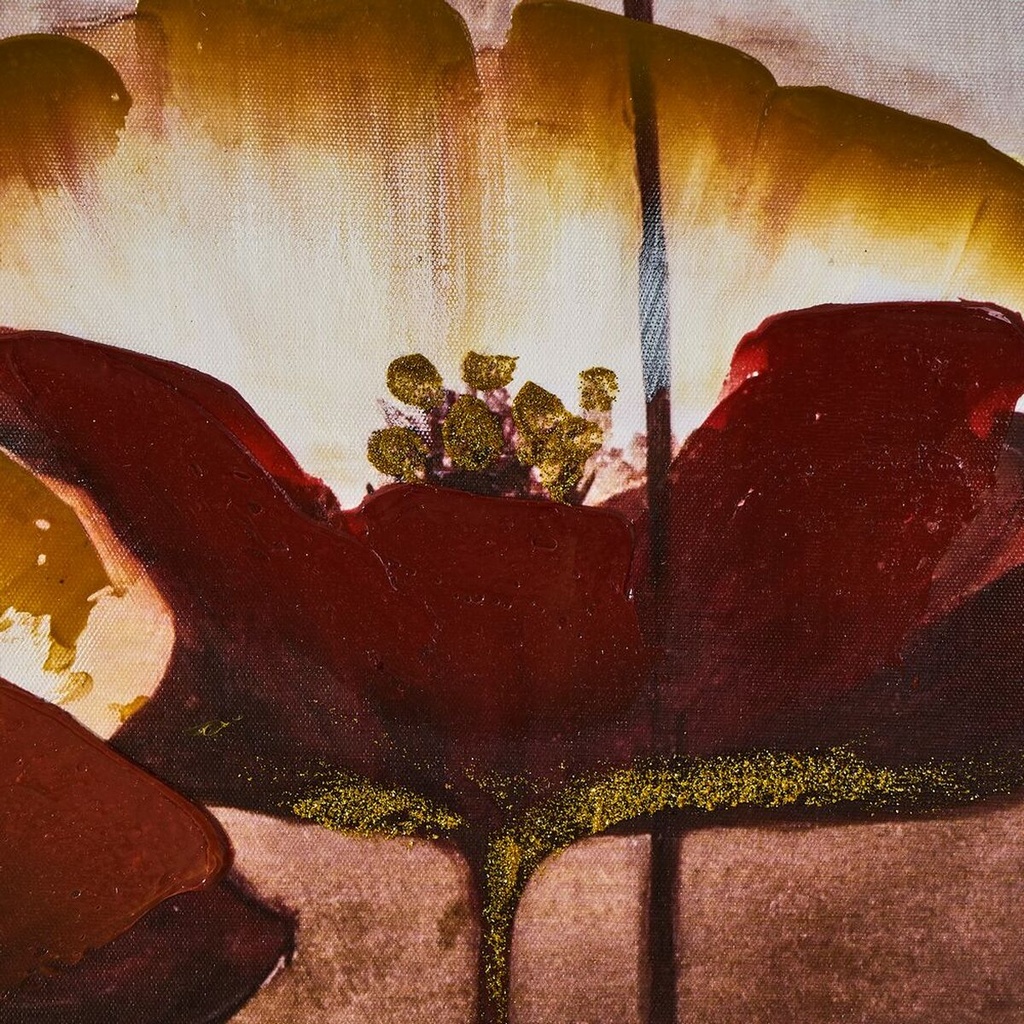 8445148022163_S8807537_P10