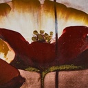 8445148022163_S8807537_P10