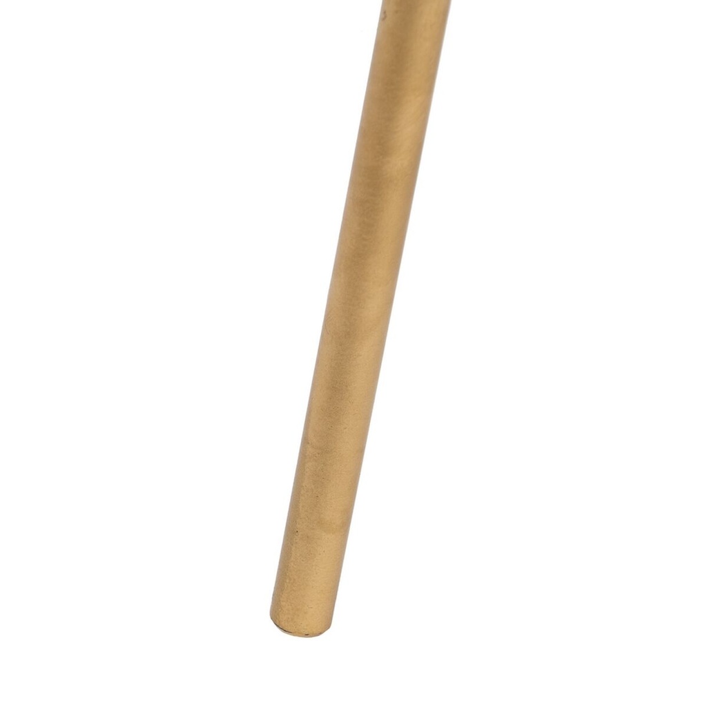 8445146077769_S8807279_P50