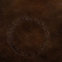 8445146053541_S8807356_P60