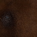 8445146053510_S8807359_P60