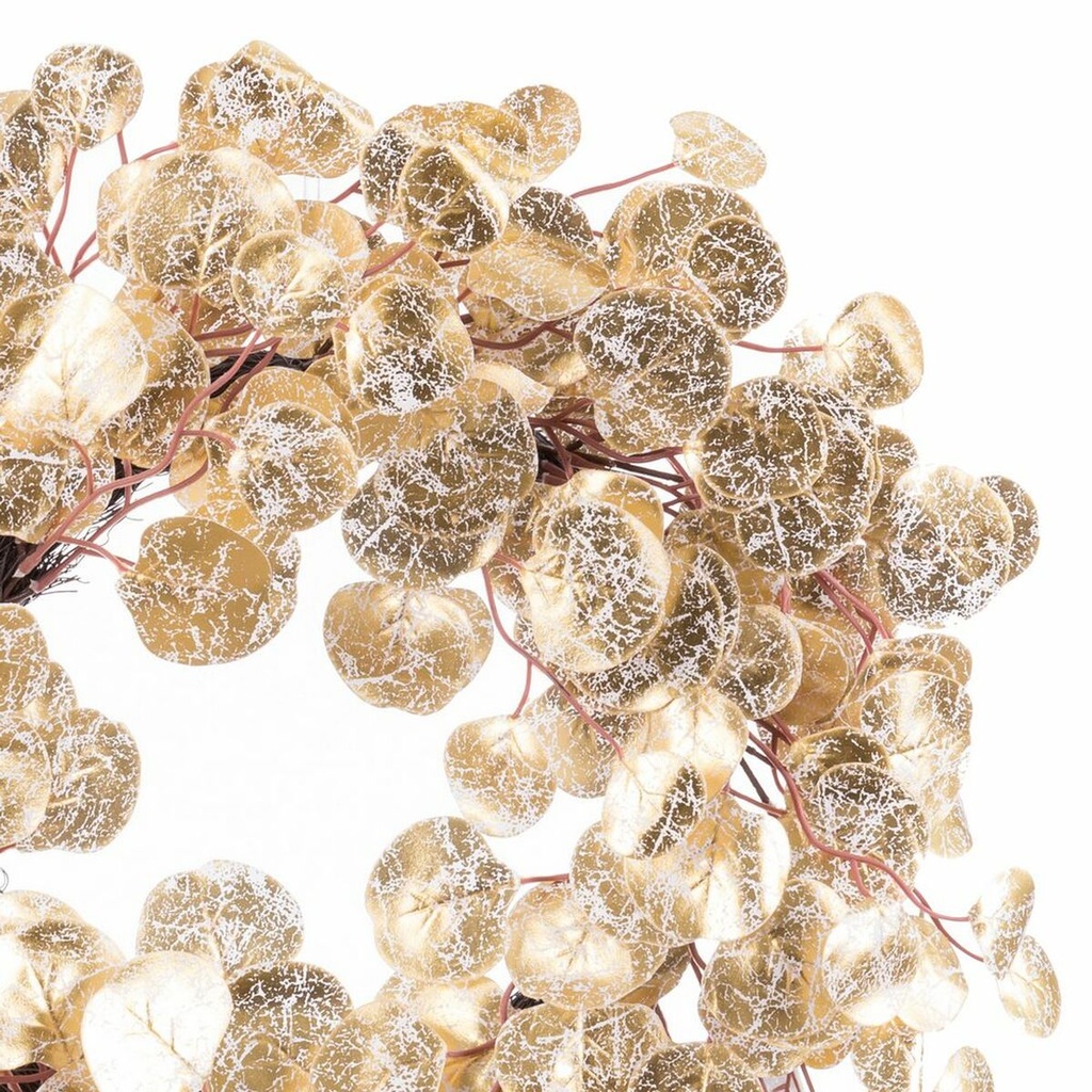 8445147229228_S8807057_P10