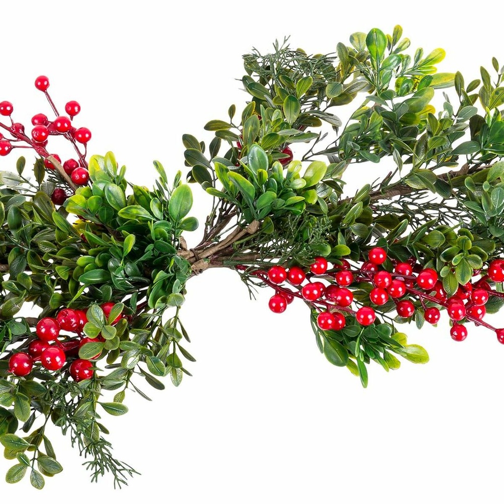 8445147231597_S8807097_P10