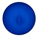 0844477025575_S9407886_P20