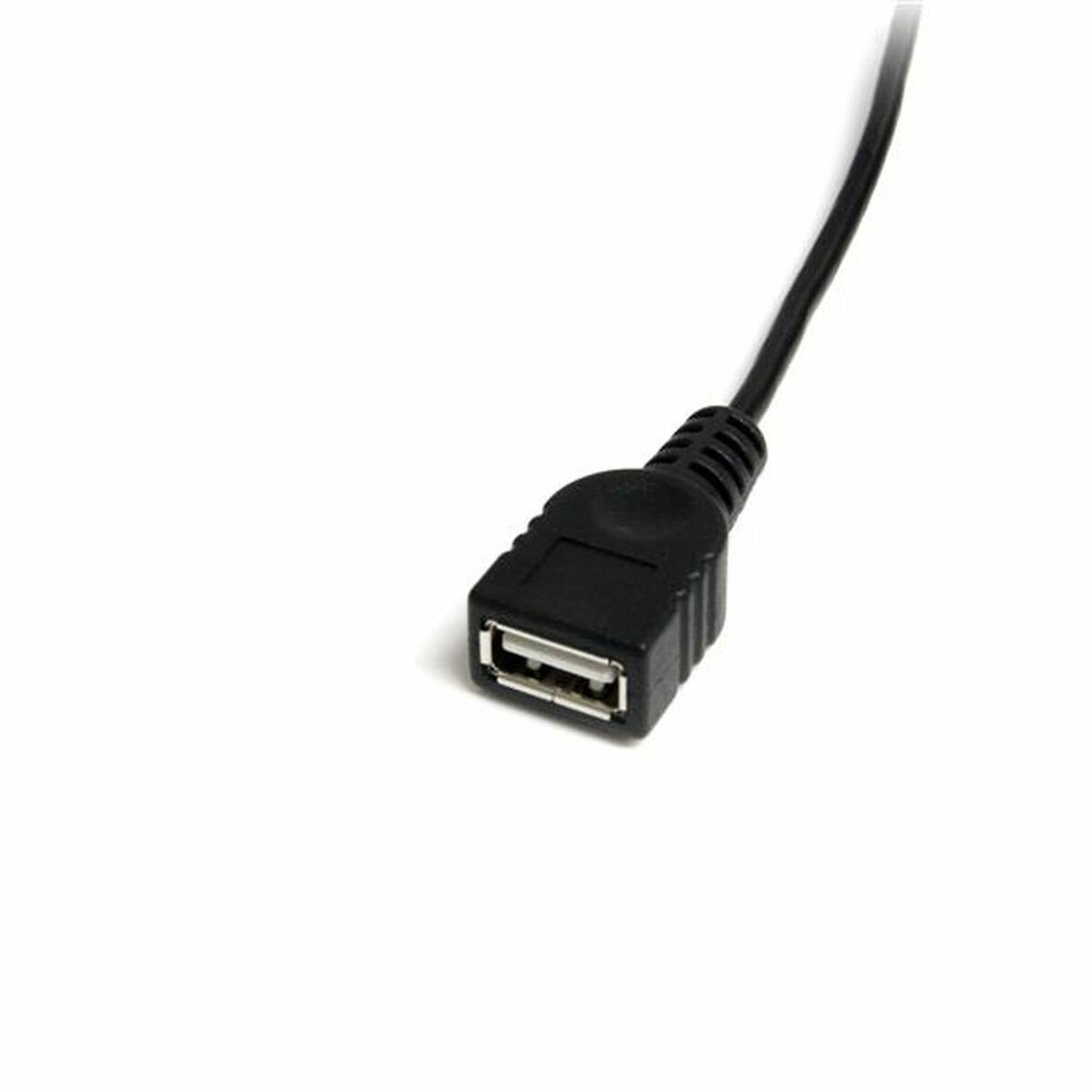 97813972