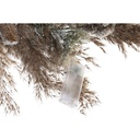 8424001983445_S3036085_P22