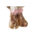 8424002068806_S3052238_P10