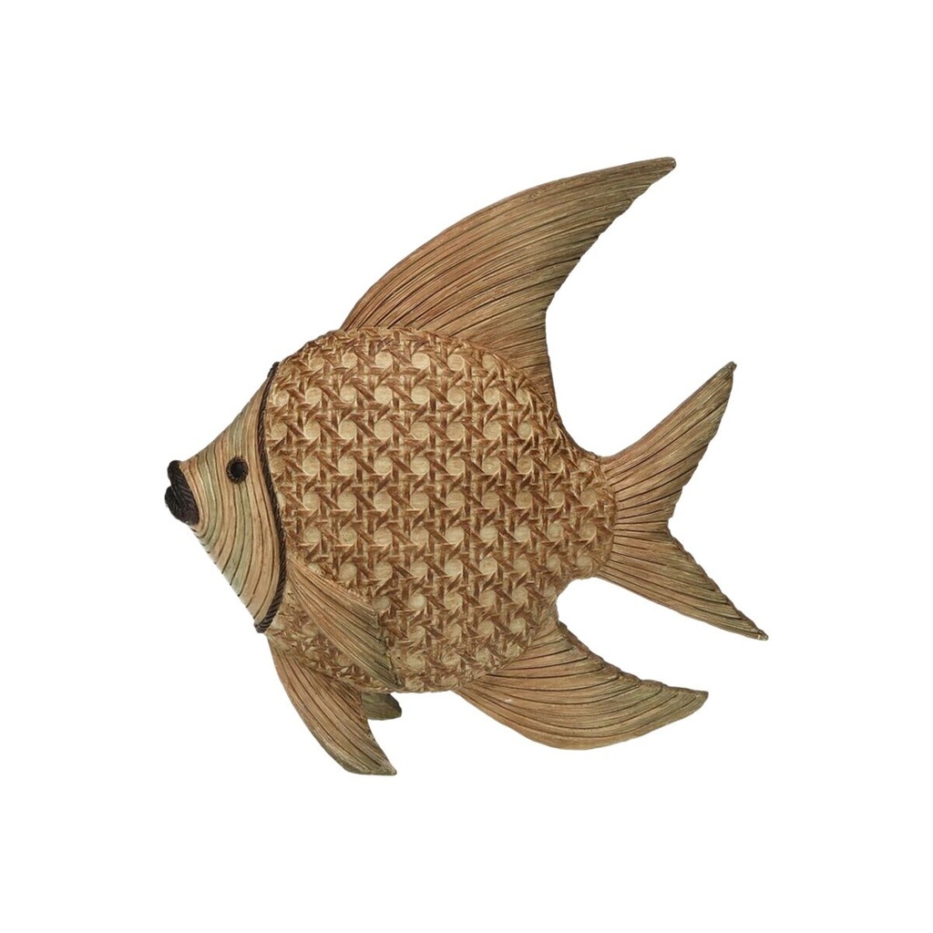 S3418748_1749111832-remove-background0