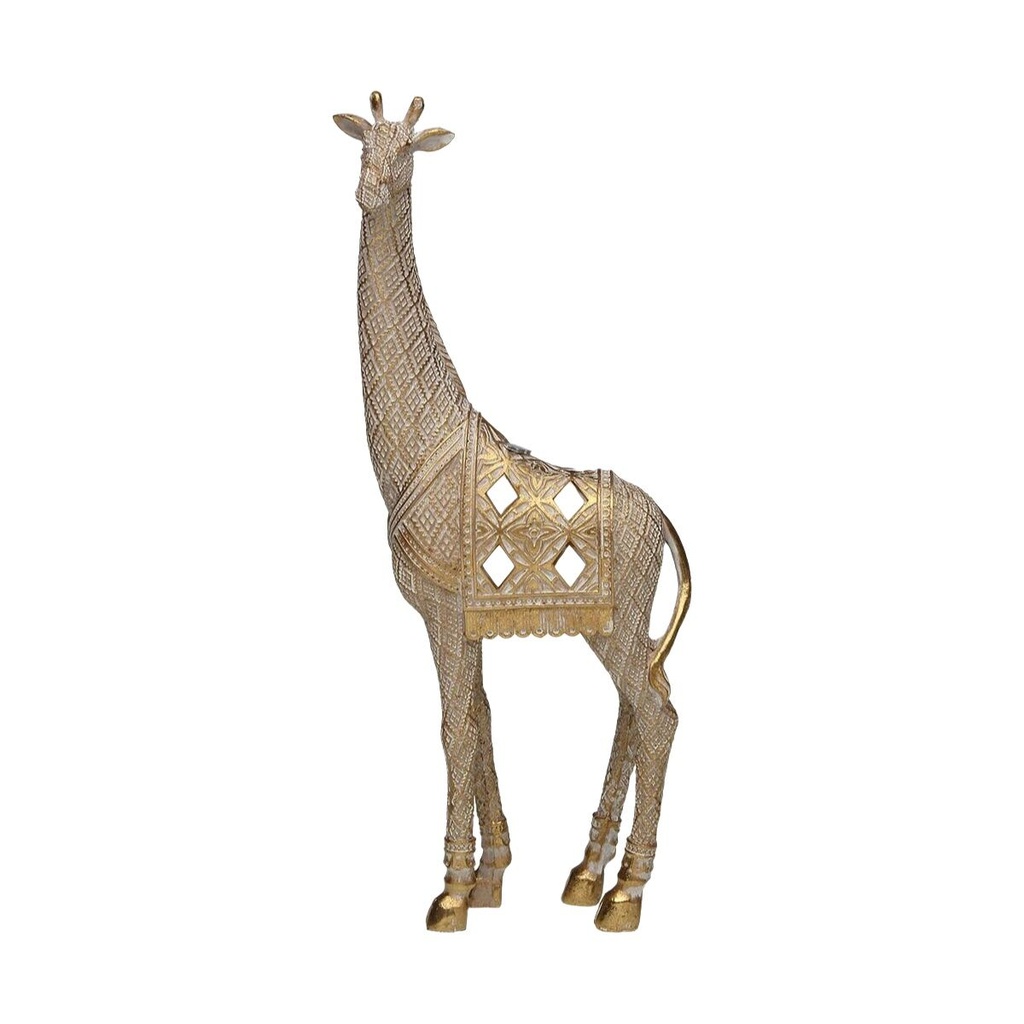 S3418733_1749111782-remove-background0