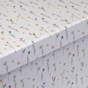 8420327555687_S3412930_P10