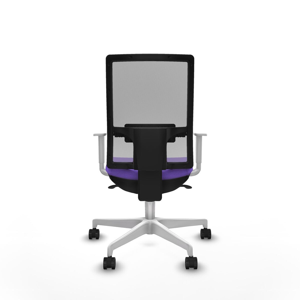8447454065568_S5735167_P40