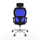 8447454338648_S5713546_P40