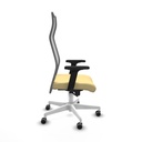 8447454234766_S5740524_P60