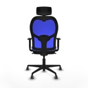 8447454334268_S5713108_P40