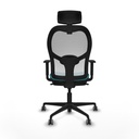 8447454352620_S5714484_P40