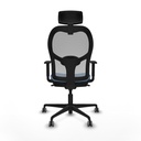 8447454365224_S5715284_P40