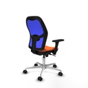 8447454335296_S5713211_P50