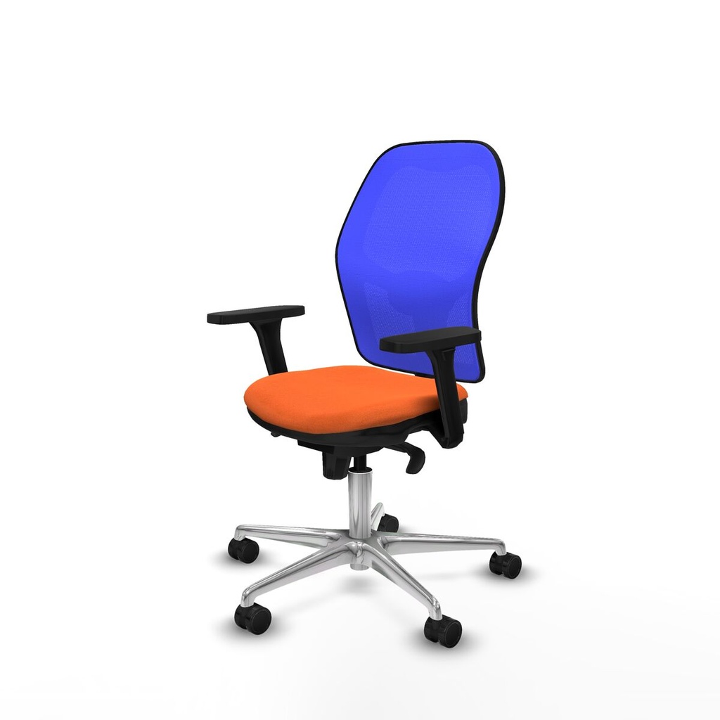 8447454335296_S5713211_P10