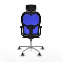 8447454332288_S5712910_P40