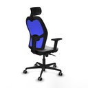 8447454336545_S5713336_P50