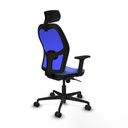 8447454334411_S5713123_P50