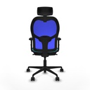 8447454336217_S5713303_P40