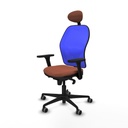 8447454335937_S5713275_P10