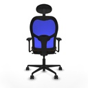 8447454338129_S5713494_P40