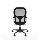 8447454356321_S5714854_P40