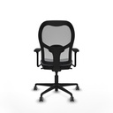 8447454366528_S5715414_P40